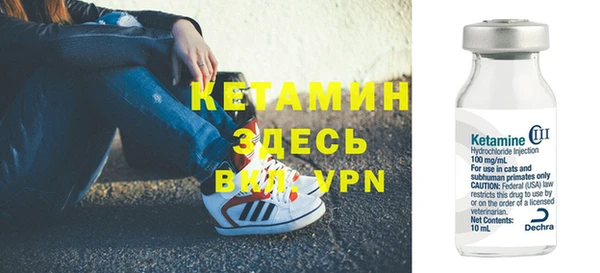 гидра Абаза