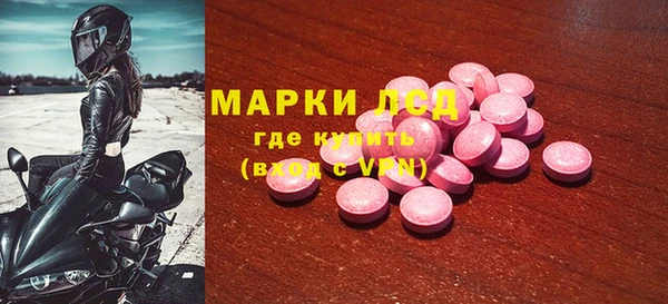 индика Абинск