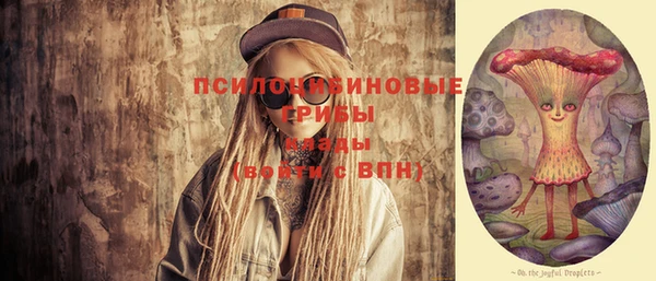 индика Абинск