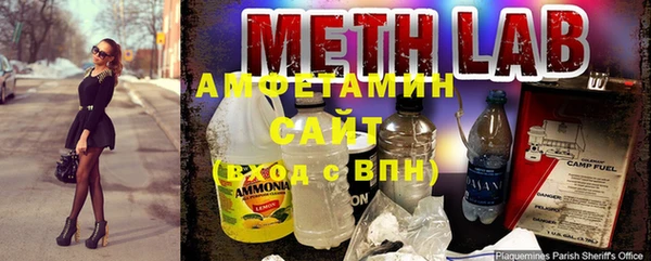 гидра Абаза
