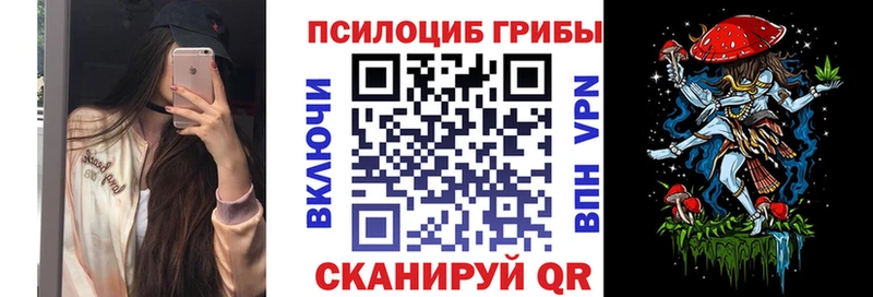 Псилоцибиновые грибы ЛСД Тулун