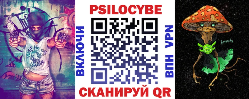 kraken зеркало  Тулун  Галлюциногенные грибы мицелий 